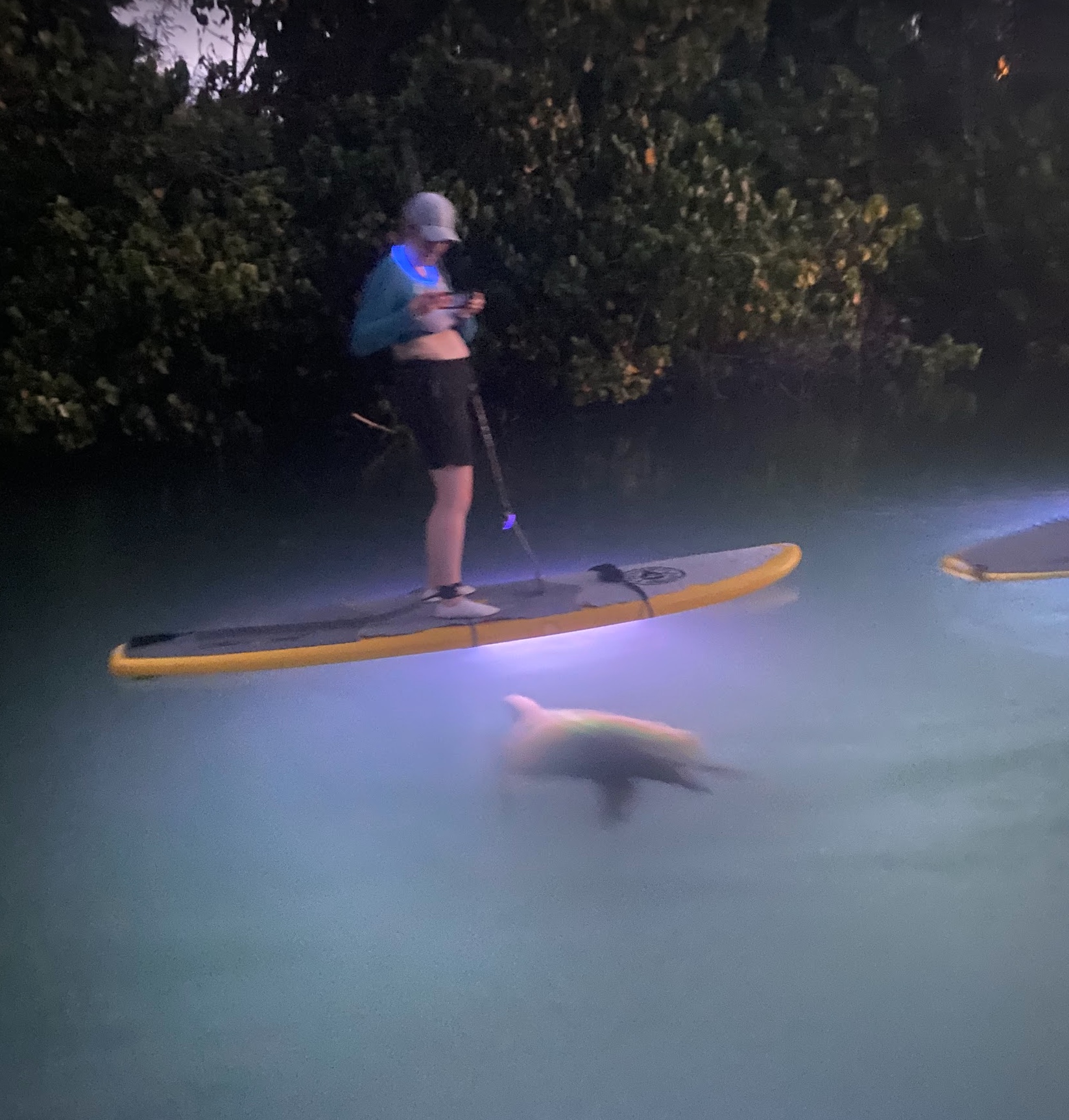 Twilight GLOW Paddle